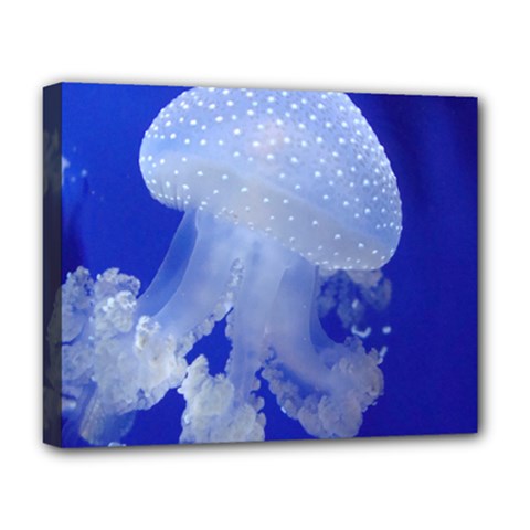 Spotted Jellyfish Deluxe Canvas 20  X 16   by trendistuff