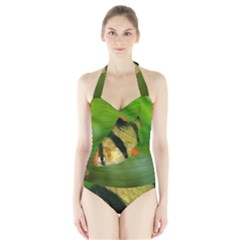 Tiger Barb Halter Swimsuit by trendistuff