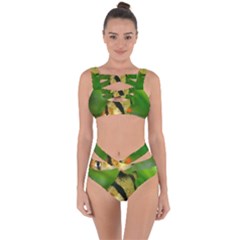 Tiger Barb Bandaged Up Bikini Set  by trendistuff