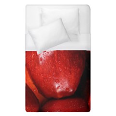 Apples 1 Duvet Cover (single Size) by trendistuff