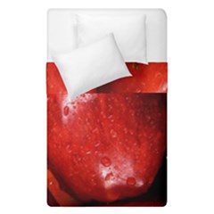 Apples 1 Duvet Cover Double Side (single Size)