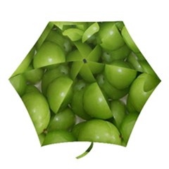 Apples 4 Mini Folding Umbrellas by trendistuff