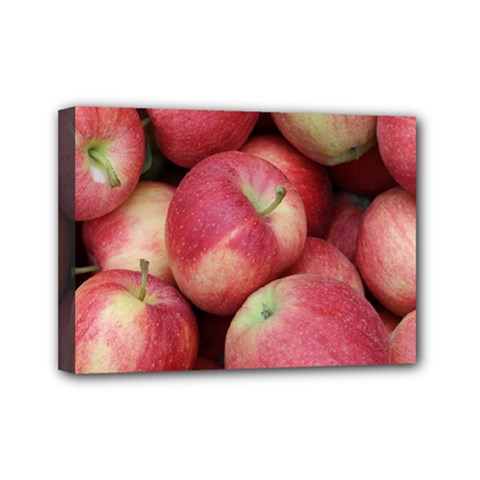 Apples 5 Mini Canvas 7  X 5  by trendistuff