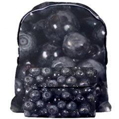 Blueberries 1 Giant Full Print Backpack by trendistuff