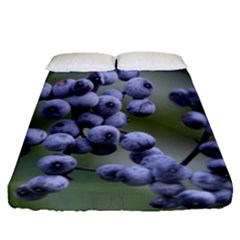 Blueberries 2 Fitted Sheet (queen Size) by trendistuff