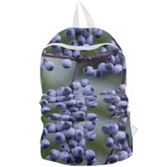 Blueberries 2 Foldable Lightweight Backpack by trendistuff