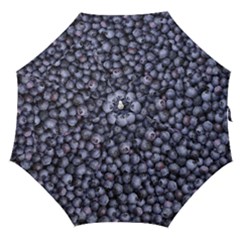 Blueberries 3 Straight Umbrellas by trendistuff