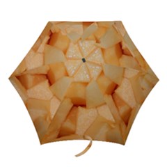 CANTALOUPE Mini Folding Umbrellas