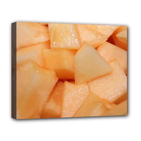 CANTALOUPE Deluxe Canvas 20  x 16  