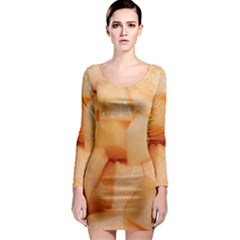 CANTALOUPE Long Sleeve Bodycon Dress