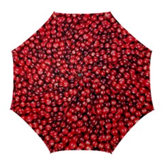 Cranberries 2 Golf Umbrellas by trendistuff