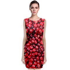 Cranberries 2 Classic Sleeveless Midi Dress by trendistuff