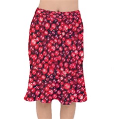 Cranberries 2 Mermaid Skirt by trendistuff