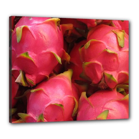 Dragonfruit Canvas 24  X 20  by trendistuff