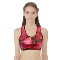 DRAGONFRUIT Sports Bra with Border