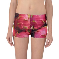 DRAGONFRUIT Reversible Boyleg Bikini Bottoms