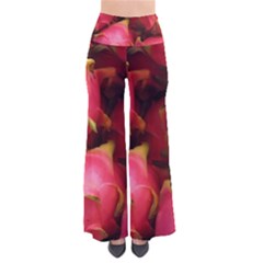 DRAGONFRUIT Pants