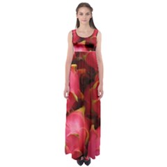 DRAGONFRUIT Empire Waist Maxi Dress