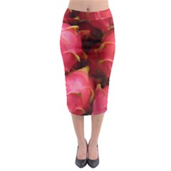 DRAGONFRUIT Midi Pencil Skirt