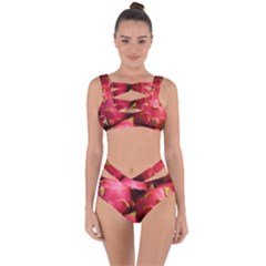 Dragonfruit Bandaged Up Bikini Set  by trendistuff