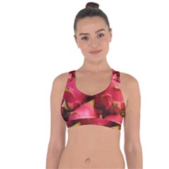 DRAGONFRUIT Cross String Back Sports Bra