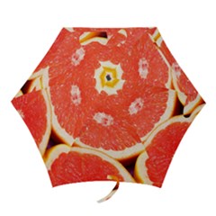 Grapefruit 1 Mini Folding Umbrellas by trendistuff