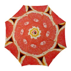 Grapefruit 1 Golf Umbrellas by trendistuff