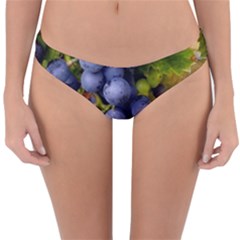 Grapes 1 Reversible Hipster Bikini Bottoms by trendistuff