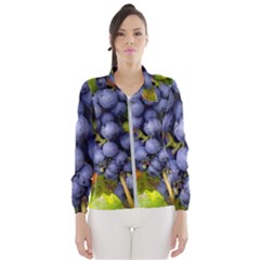 Grapes 1 Wind Breaker (women) by trendistuff