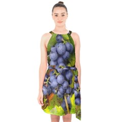 Grapes 1 Halter Collar Waist Tie Chiffon Dress by trendistuff