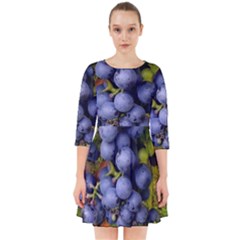 Grapes 1 Smock Dress by trendistuff