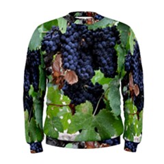 Grapes 3 Men s Sweatshirt by trendistuff