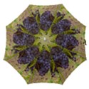 GRAPES 4 Straight Umbrellas View1