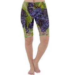 Grapes 4 Cropped Leggings  by trendistuff