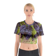 Grapes 4 Cotton Crop Top by trendistuff