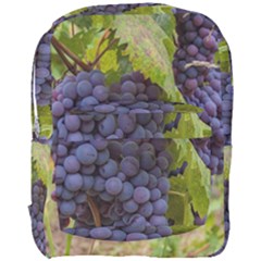 Grapes 4 Full Print Backpack by trendistuff