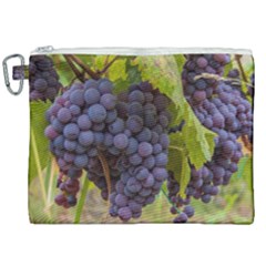 Grapes 4 Canvas Cosmetic Bag (xxl) by trendistuff