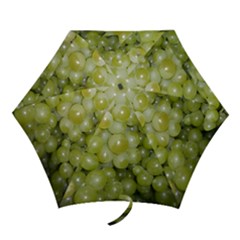 Grapes 5 Mini Folding Umbrellas by trendistuff