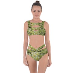 Grapes 5 Bandaged Up Bikini Set  by trendistuff