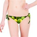 LIMES 1 Bikini Bottom View1