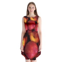 Nectarines Sleeveless Chiffon Dress   by trendistuff