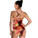 PEACHES 1 Tankini Set View2