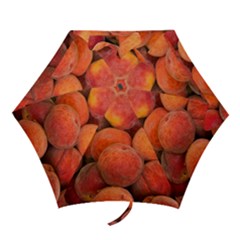 PEACHES 2 Mini Folding Umbrellas