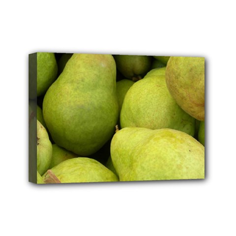 Pears 1 Mini Canvas 7  X 5  by trendistuff