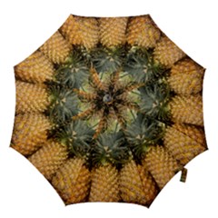 Pineapple 1 Hook Handle Umbrellas (large) by trendistuff