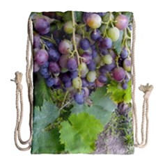 Grapes 2 Drawstring Bag (large) by trendistuff