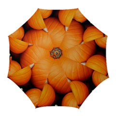 Pumpkins 1 Golf Umbrellas by trendistuff