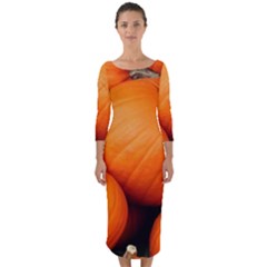 Pumpkins 1 Quarter Sleeve Midi Bodycon Dress by trendistuff