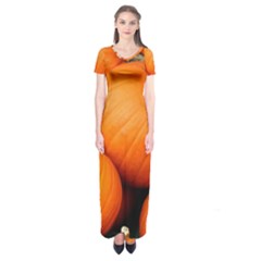 Pumpkins 1 Short Sleeve Maxi Dress by trendistuff