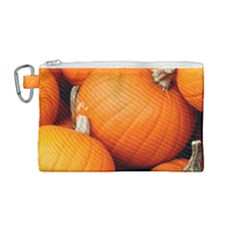 Pumpkins 1 Canvas Cosmetic Bag (medium) by trendistuff